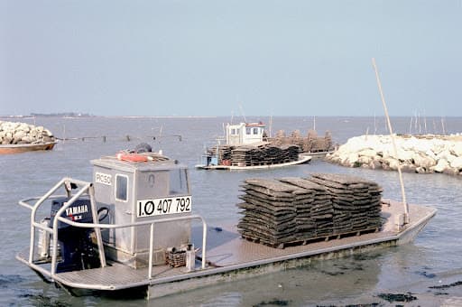 culture des huîtres Arcachon