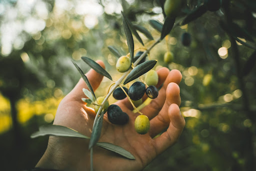 Produits du terroir en ligne