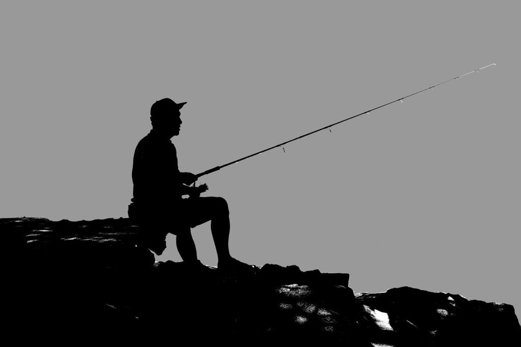 Achat de poisson en ligne